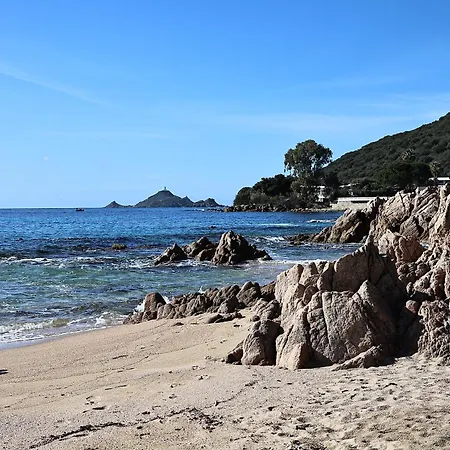 Les Sanguinaires N'16 - T2 Vue Mer, Piscine, *