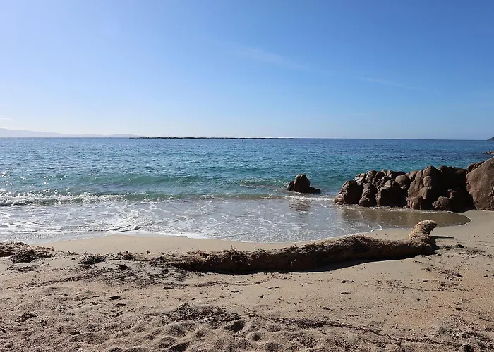 Appartement Les Sanguinaires N'16 - T2 Vue Mer, Piscine, Ajaccio (Corsica)