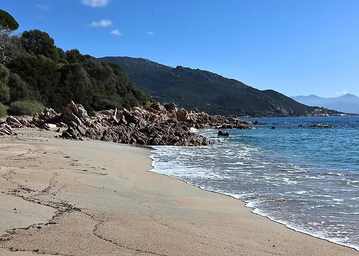 Les Sanguinaires N'16 - T2 Vue Mer, Piscine,